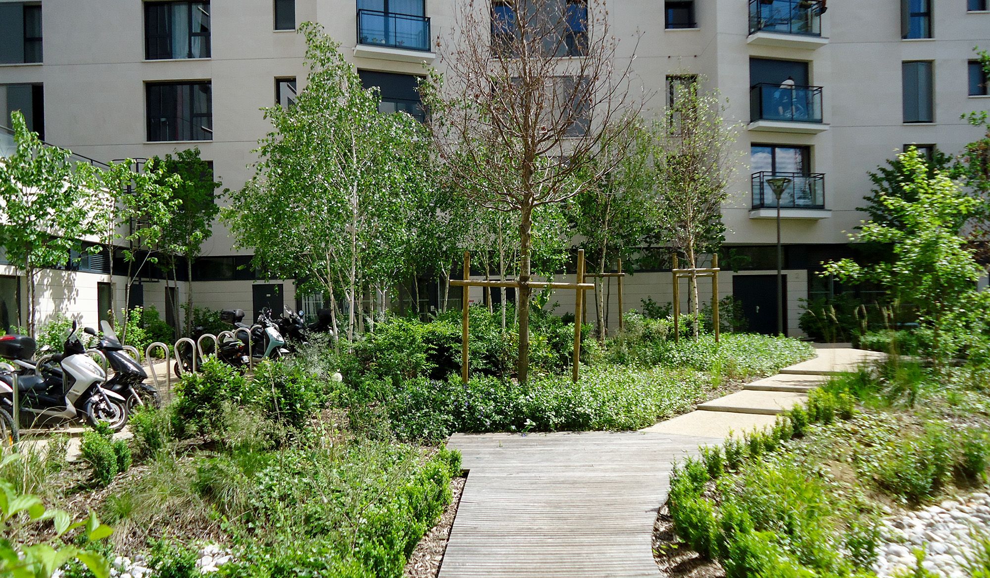 L&rsquo;Îlot Vert de Villeurbanne : Un jardin où chaque légume génère un emploi