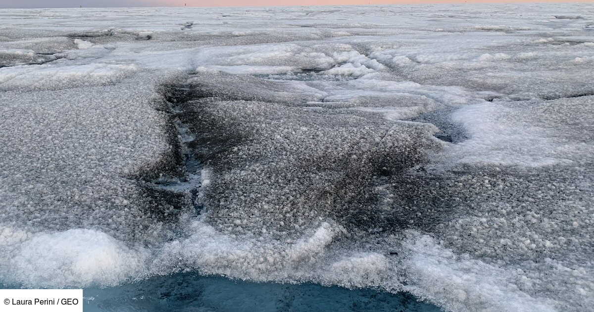 IceCube : L’oreille du cosmos cachée sous les glaces antarctiques